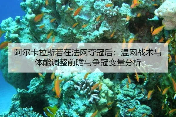 a-er-ka-la-si-ruo-zai-fa-wang-duo-guan-hou-wen-wang-zhan-shu-yu-ti-neng-tiao-zheng-qian-zhan-yu-zheng-guan-bian-liang-2-932.jpg